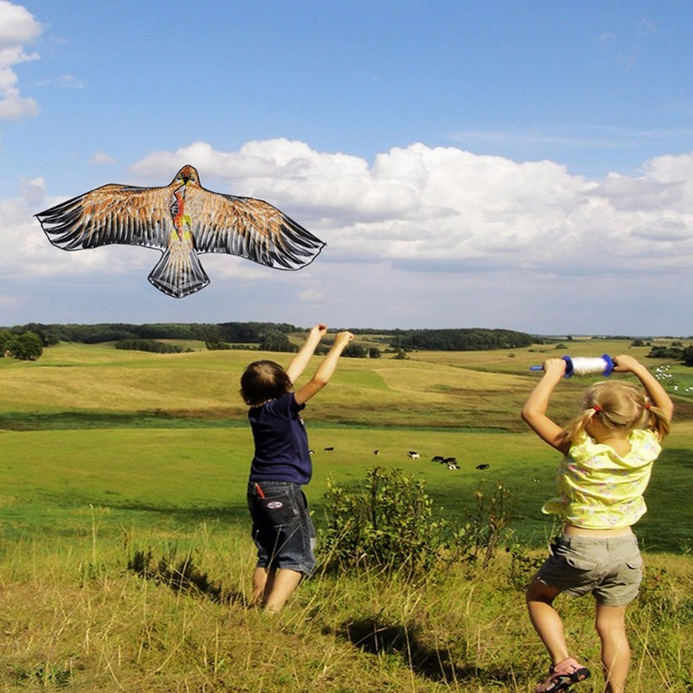 Flat Eagle Kite with 30 Meter  - Kids Outdoor Play Area ulasan dan harga