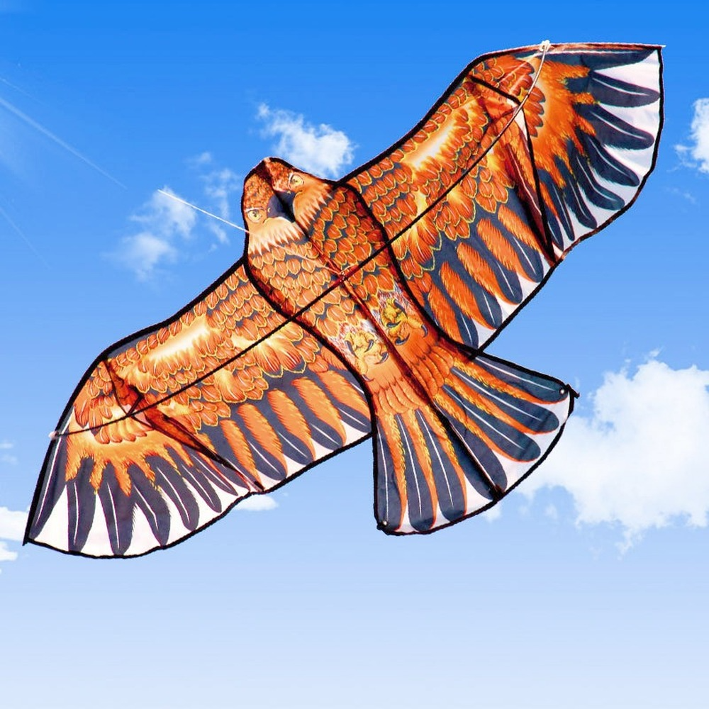 Flat Eagle Kite with 30 Meter  - Kids Outdoor Play Area ulasan dan harga