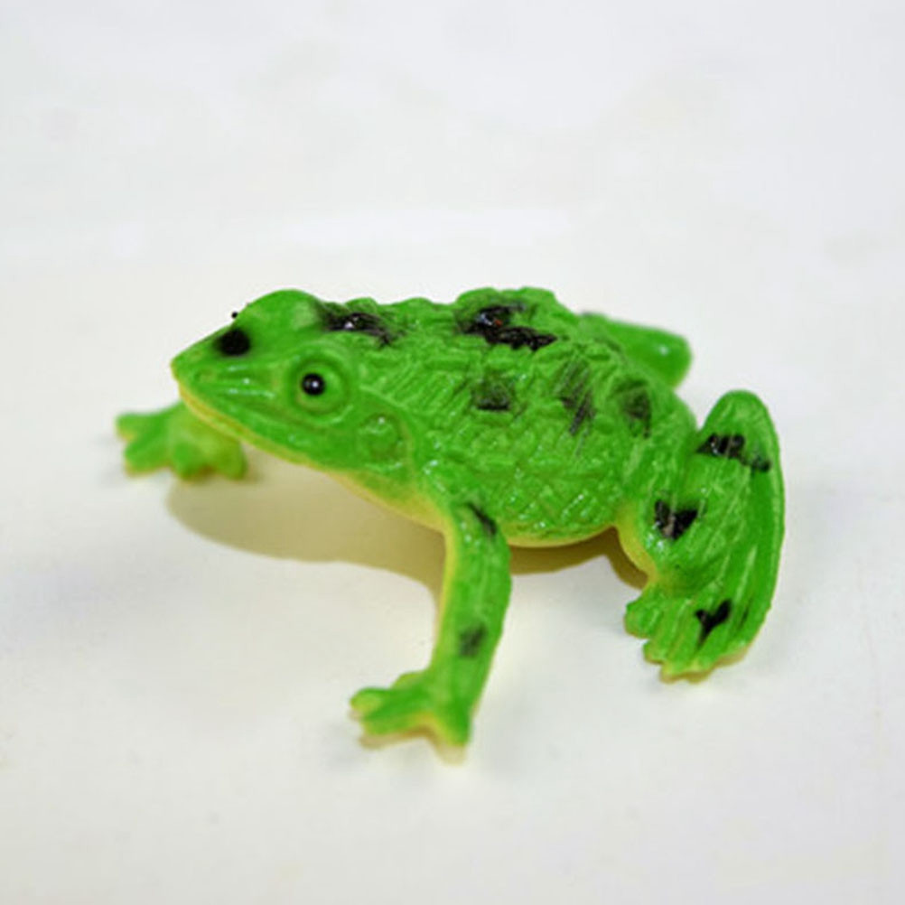 12Pcs Lifelike Frog Models for - Kids Outdoor Learning Activities ulasan dan harga