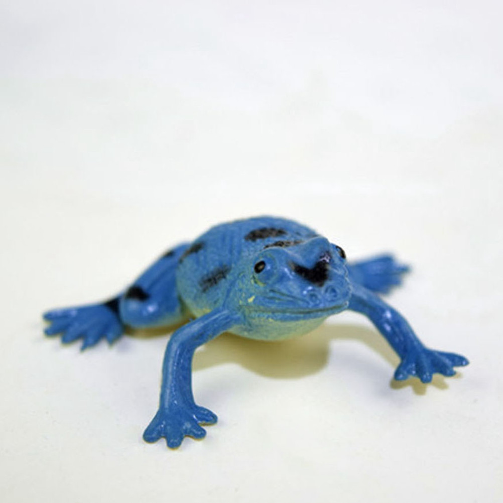 12Pcs Lifelike Frog Models for - Kids Outdoor Learning Activities ulasan dan harga