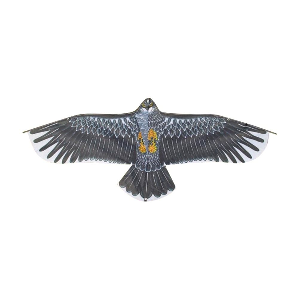 1.1m Eagle Kite With 30m Kite  - Kids Outdoor Play ulasan dan harga