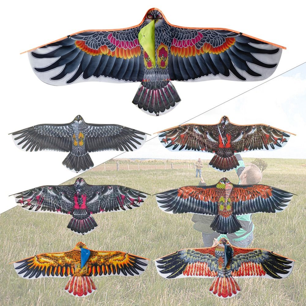 Flat Eagle Kite 1.1m Flying Bi - Kids Outdoor Play Area ulasan dan harga