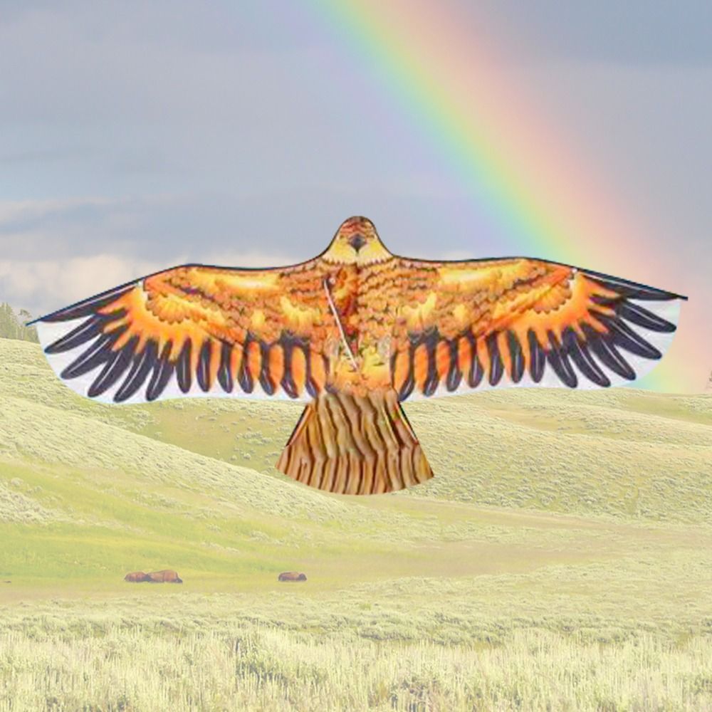 Flat Eagle Kite 1.1m Flying Bi - Kids Outdoor Play Area ulasan dan harga