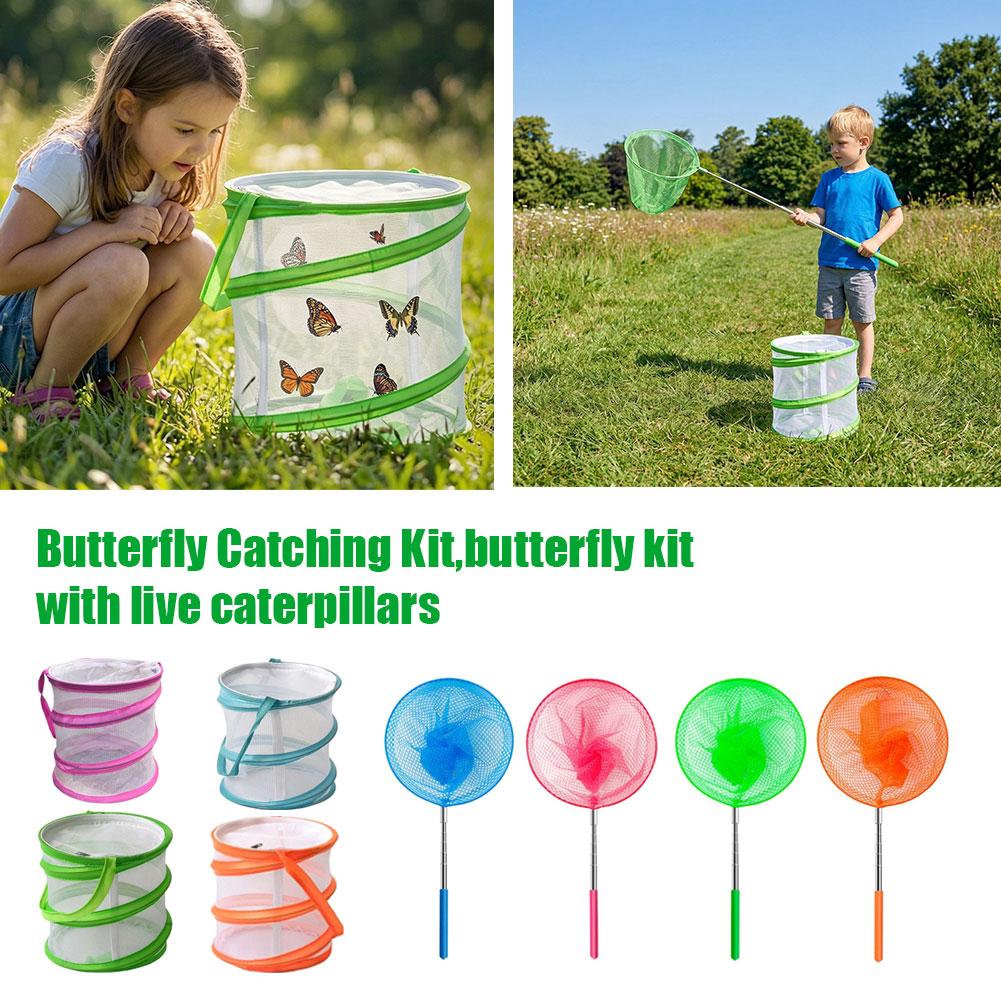 Kids Butterfly Catching Kit Fo - Kids Outdoor Net ulasan dan harga